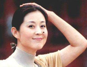 倪萍爆料停车场视频,揭秘明星日常停车趣事  第3张