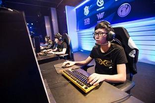 勇哥直播爆料视频下载大全,爆款视频下载大全大公开